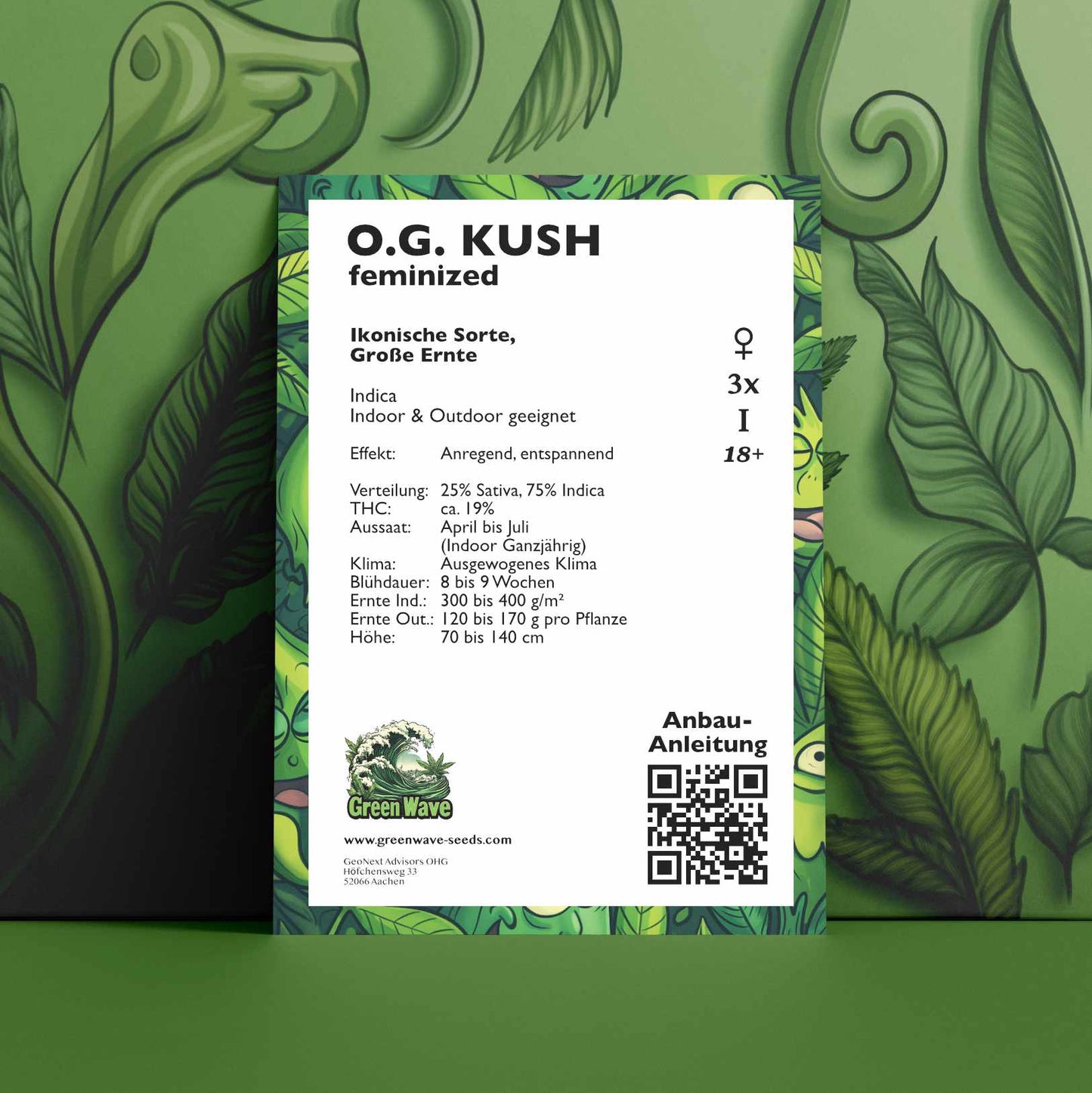 Hanfsamen O.G. Kush Feminized