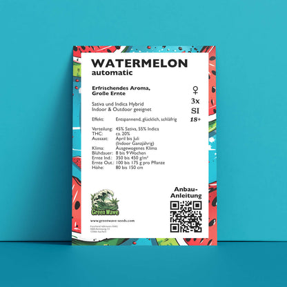 Cannabis seeds Watermelon Automatic 